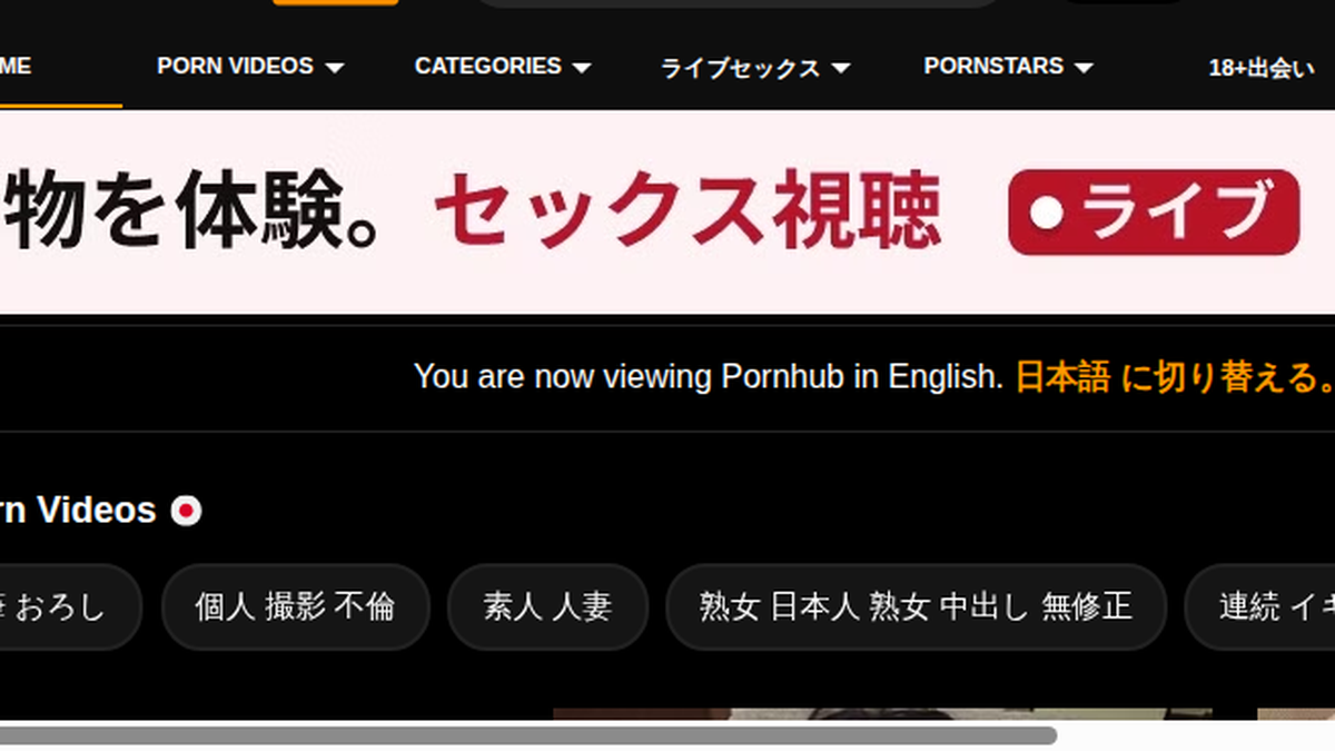 PornHub サイトプレビュー