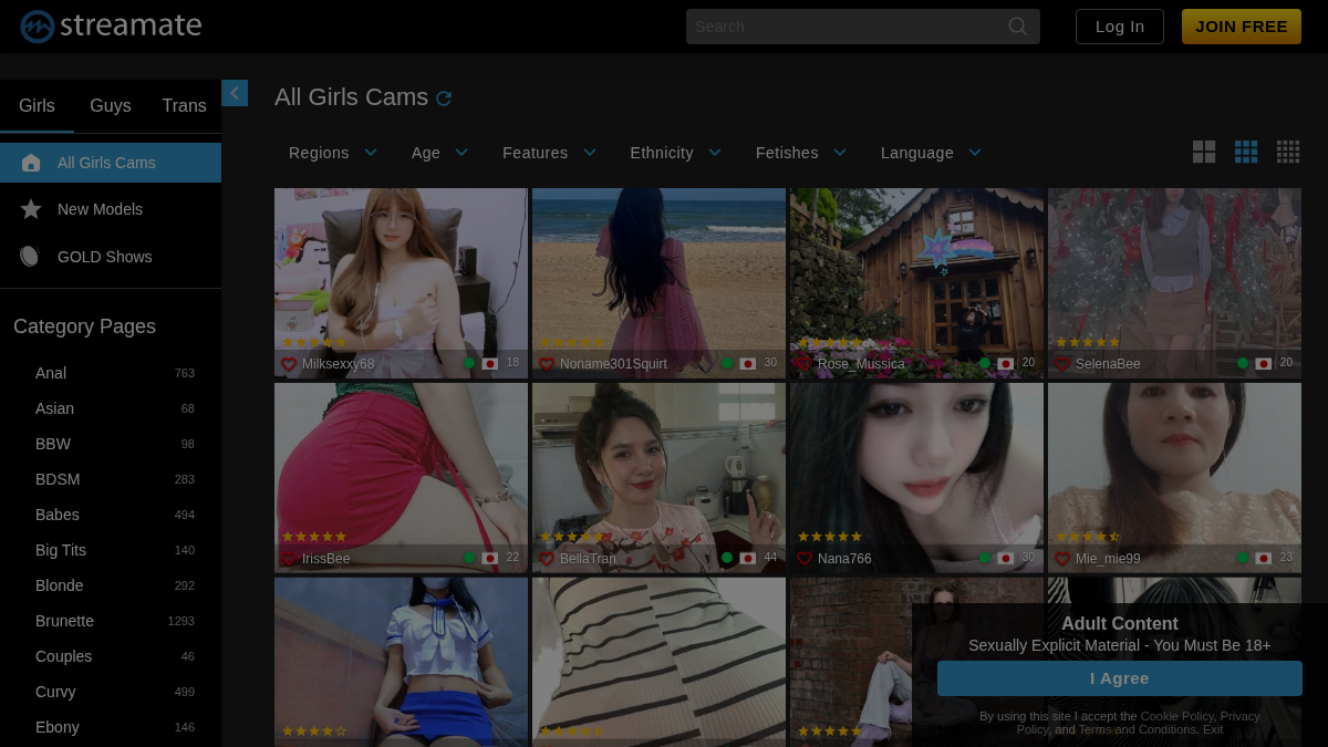 Streamate サイトプレビュー