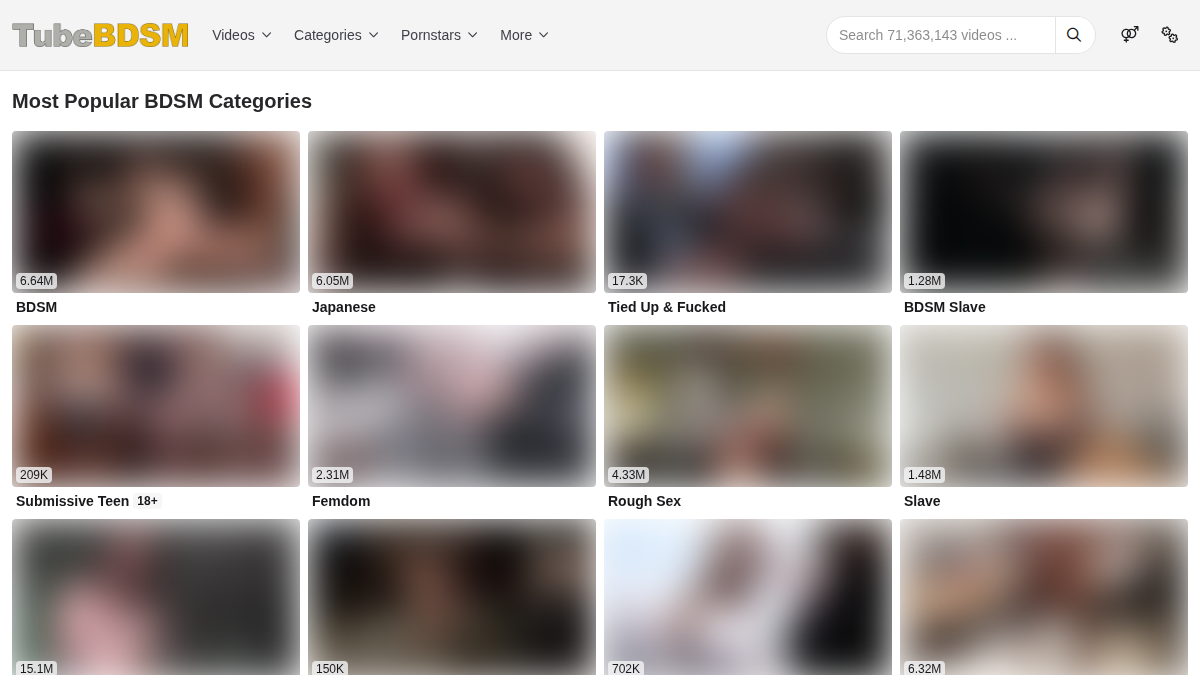 Tube BDSM サイトプレビュー