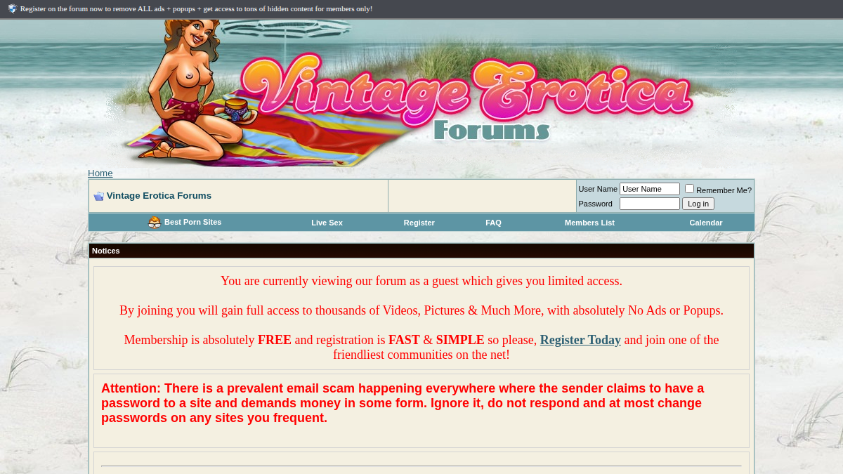 Vintage Erotica Forums サイトプレビュー