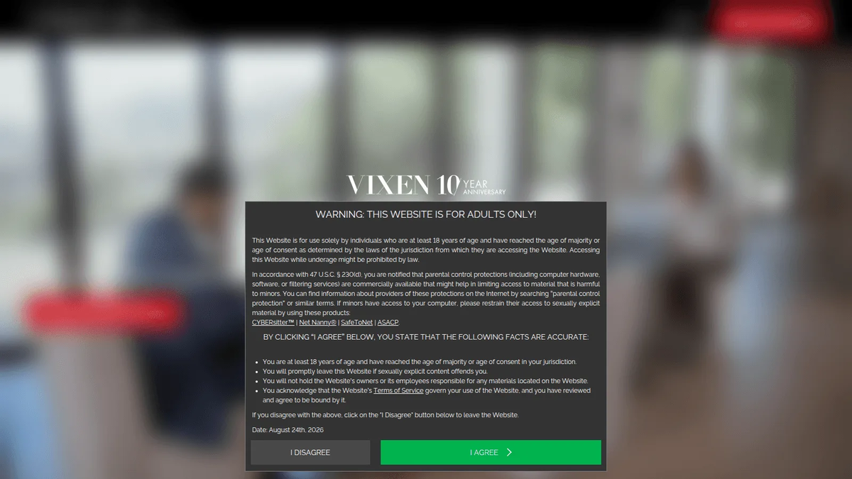 Vixen.com サイトプレビュー