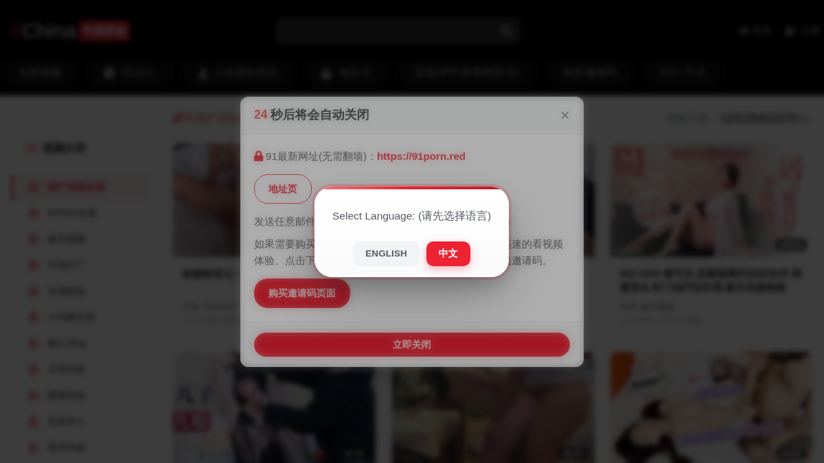 XChina サイトプレビュー